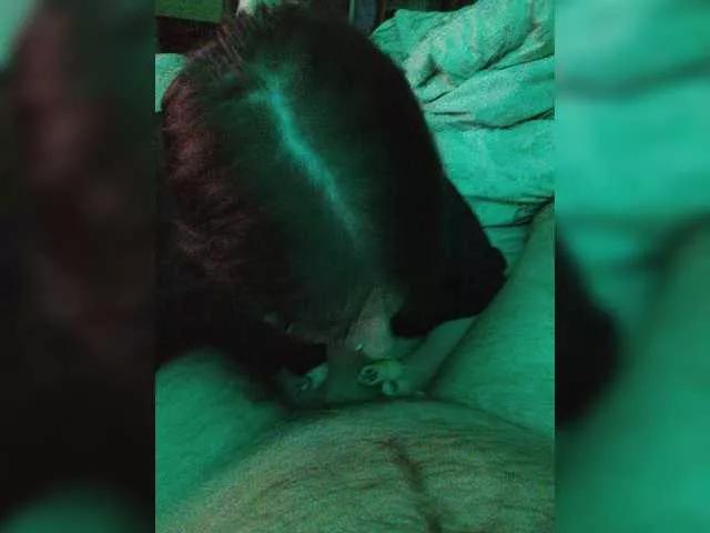 bella2006 on BongaCams 