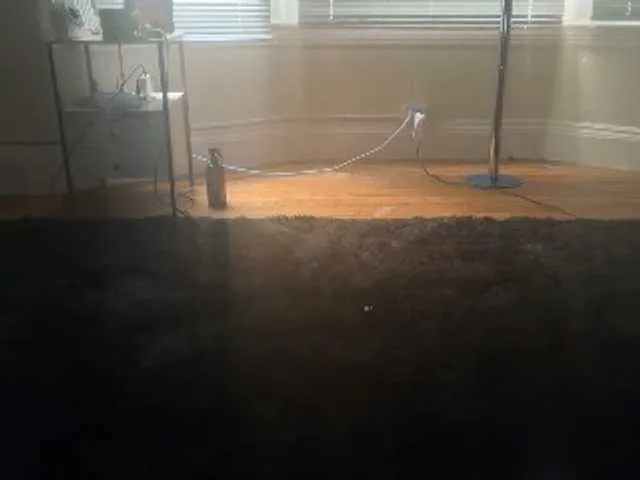 DelightfulDark — my shows are paid per view  flash conversation  all spammers will be silenced or banned , followers= silenced when typing for free randoms will be banned, my privates become topless after 2 minute and every request private or public is tip menu only!