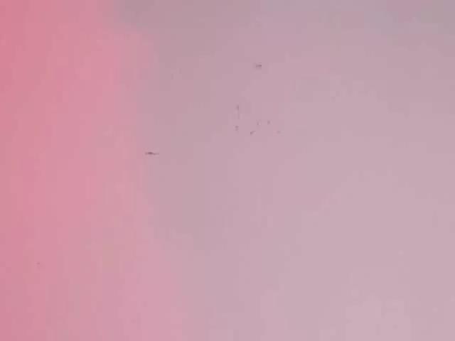 Discover Pamela-Velvet, she wants to masturbate for you Pamela-Velvet from BongaCams