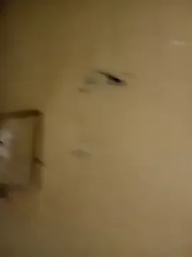 honeypot224 — Doggystyle