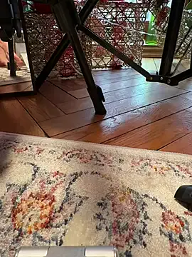 StripChat Oopsfoxy is Freechat Oopsfoxy — Stockings