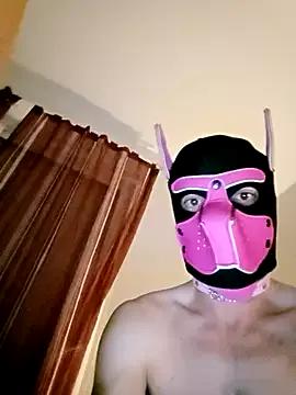 Watch StripChat's Puppydog33 Puppydog33 from StripChat